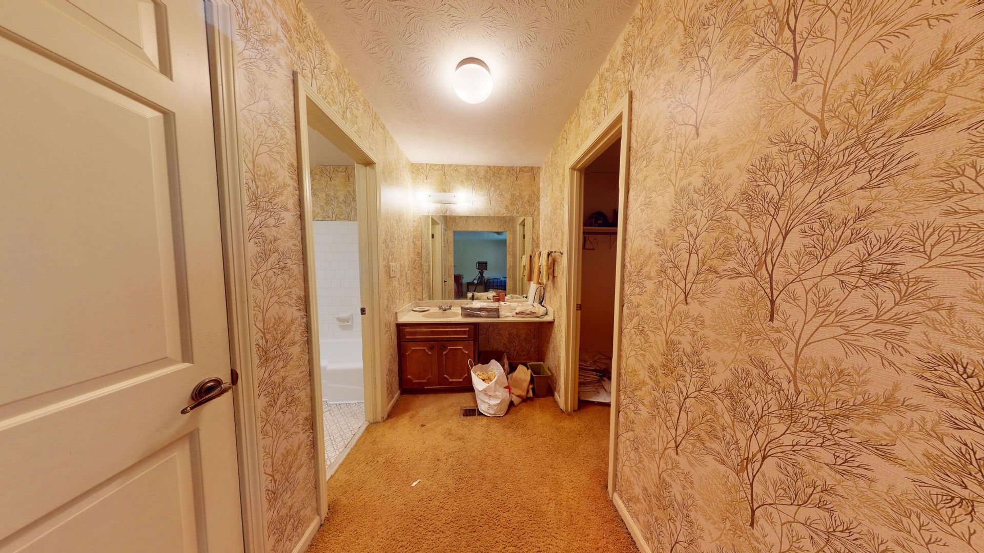 Additional bathroom with severe water damage