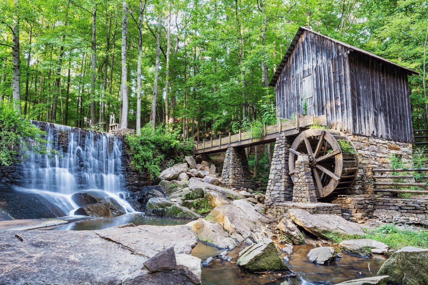 Cochran Shoals Trail