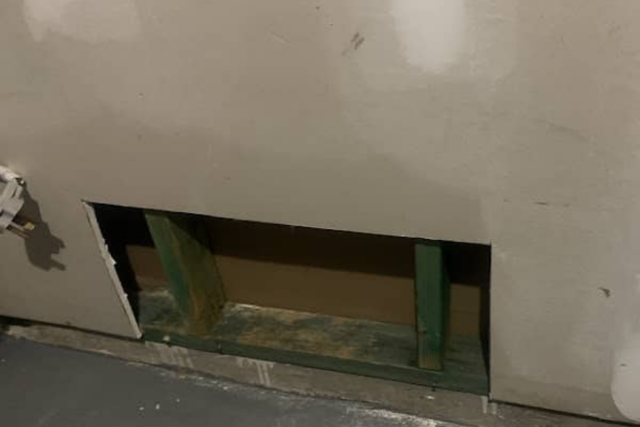 Mold Growth Behind Drywall After Water Damage