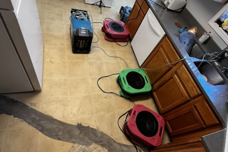 Professional drying process equipment