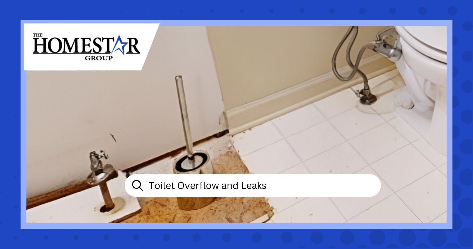 Toilet Overflow and Leaks