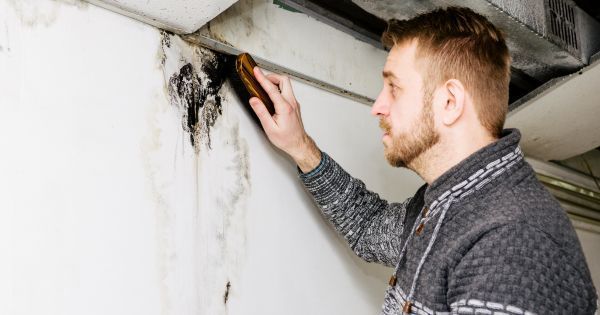 How to Kill Mold on Drywall