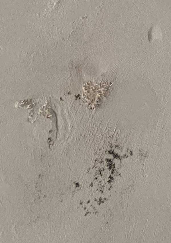White ceiling with peeling paint and patches of dark mold growth.