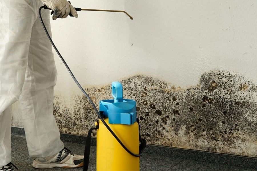 Professional mold removal in Atlanta home