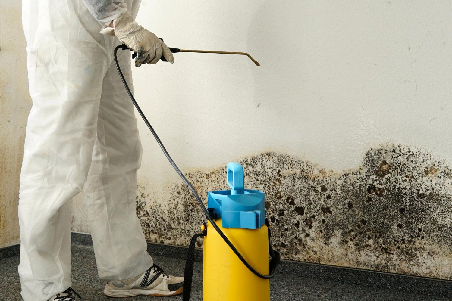 Person in protective suit spraying a wall covered in dark mold with a yellow and blue sprayer.