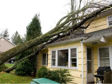 Storm And Wind Damage Restoration Atlanta