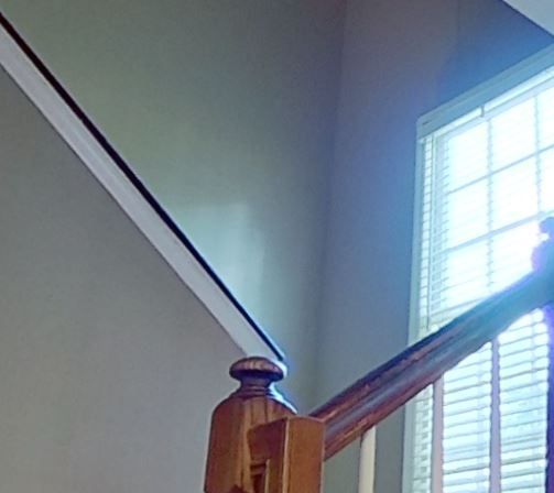 water damage cleanup after