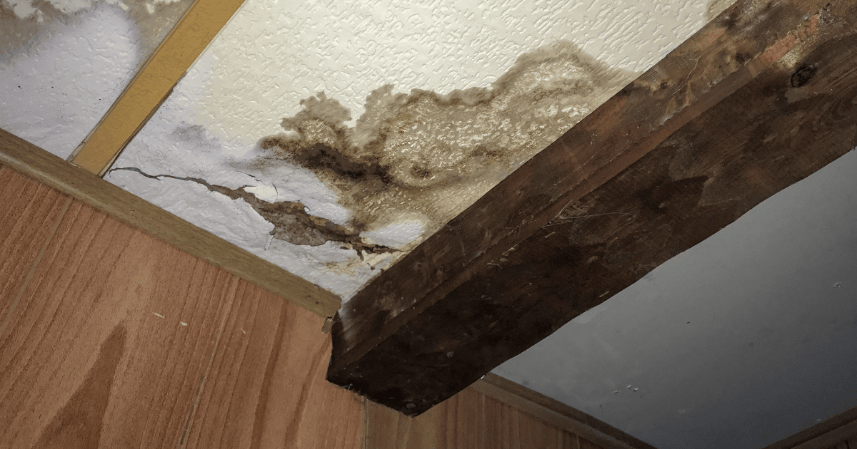 The Cost of Water Damage Restoration in Atlanta, GA