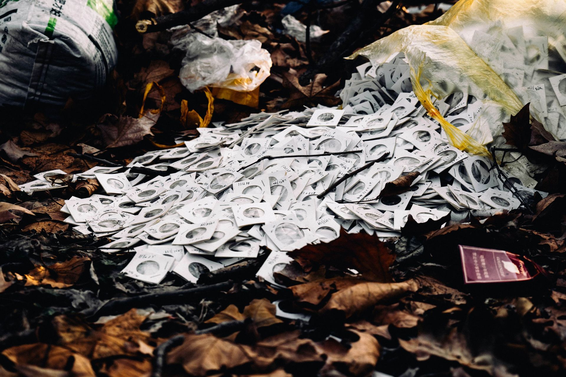 Overflowing trade waste bins outside commercial property in Stirling