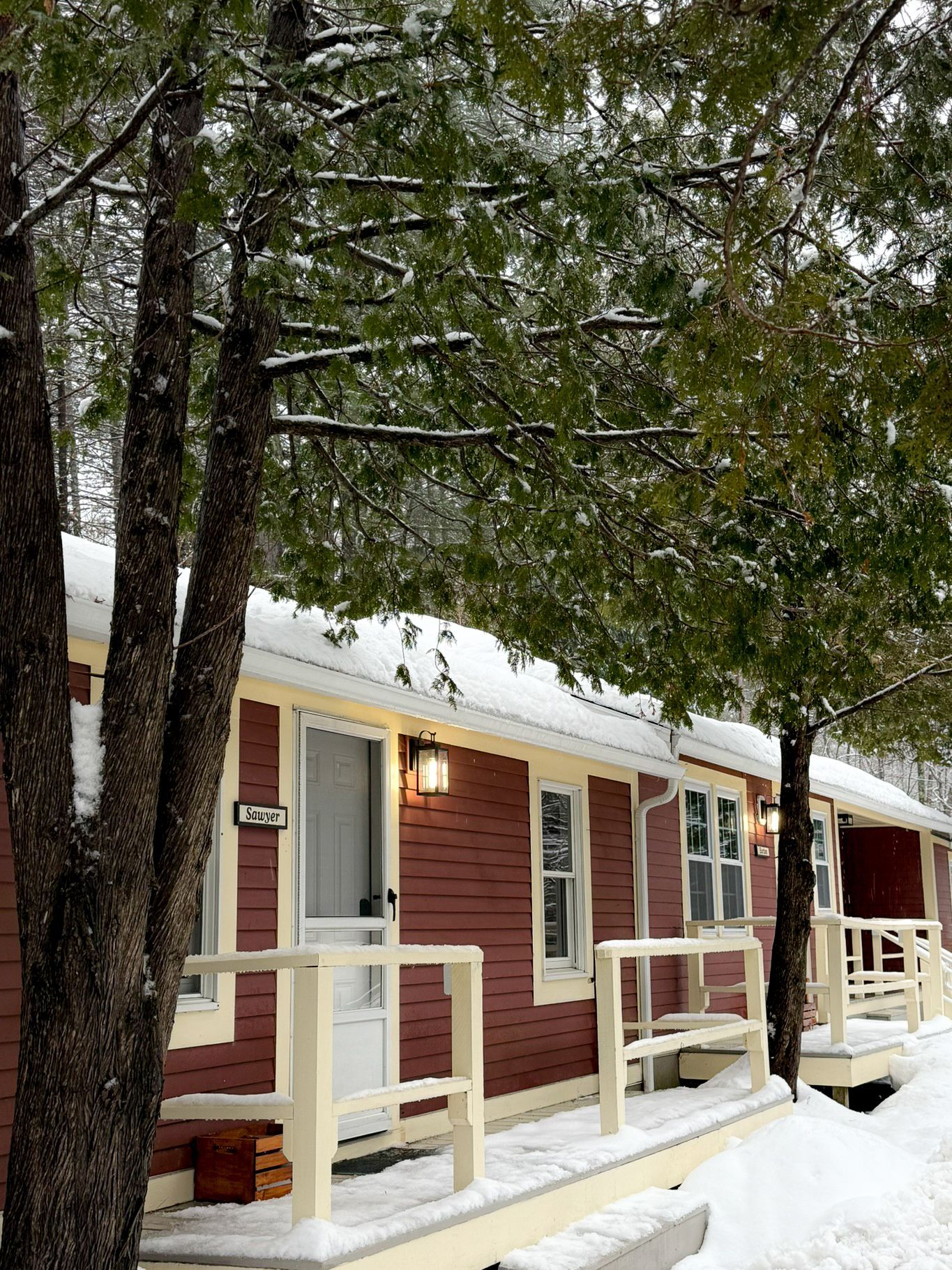 A red house with a white porch is surrounded by snow covered trees.