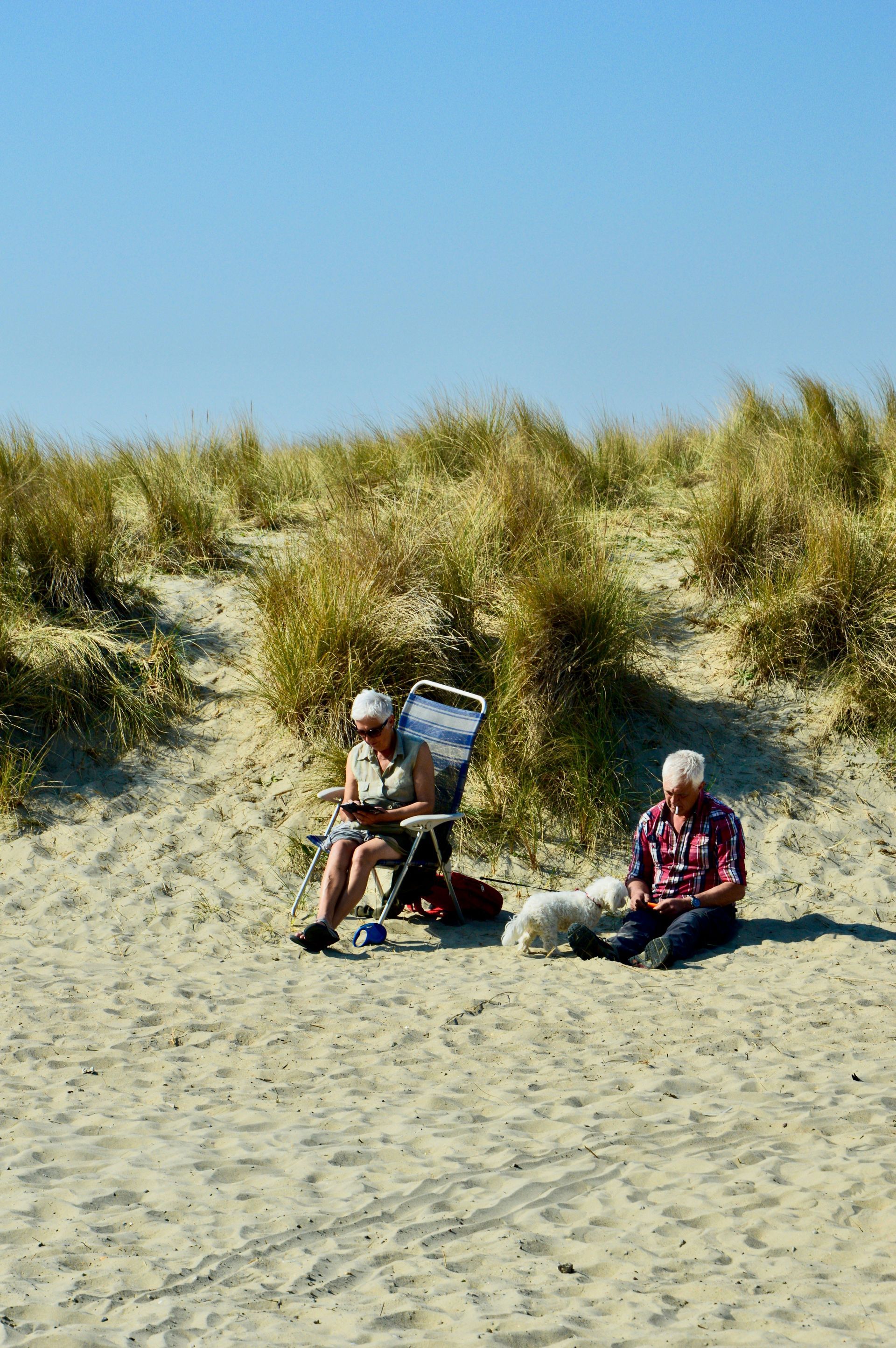 A man and a woman are sitting on a sandy beach with a dog.