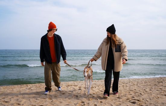 A man and a woman are walking a dog on the beach.