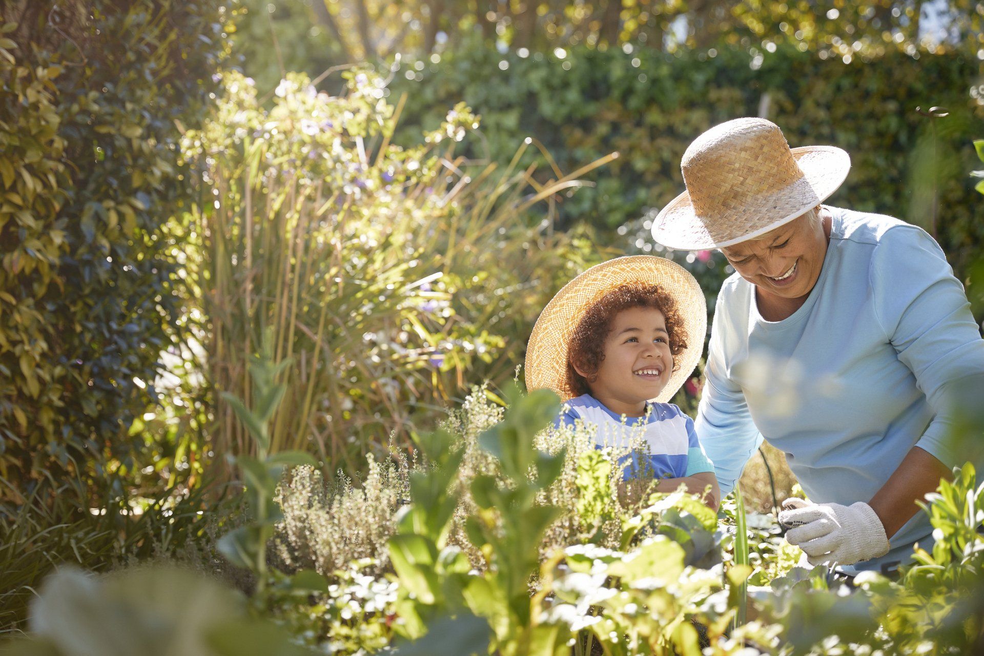 Grandmother and Child Gardening Outdoors — St. Joseph, MI — Bittner & Jennings Attorneys