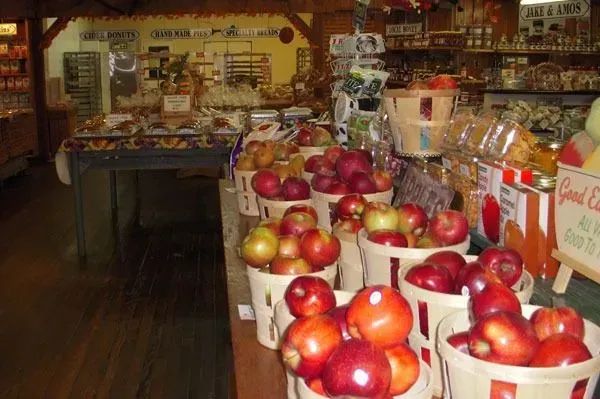 Baskets of red and yellow apples displayed on a wooden counter inside a rustic country market.