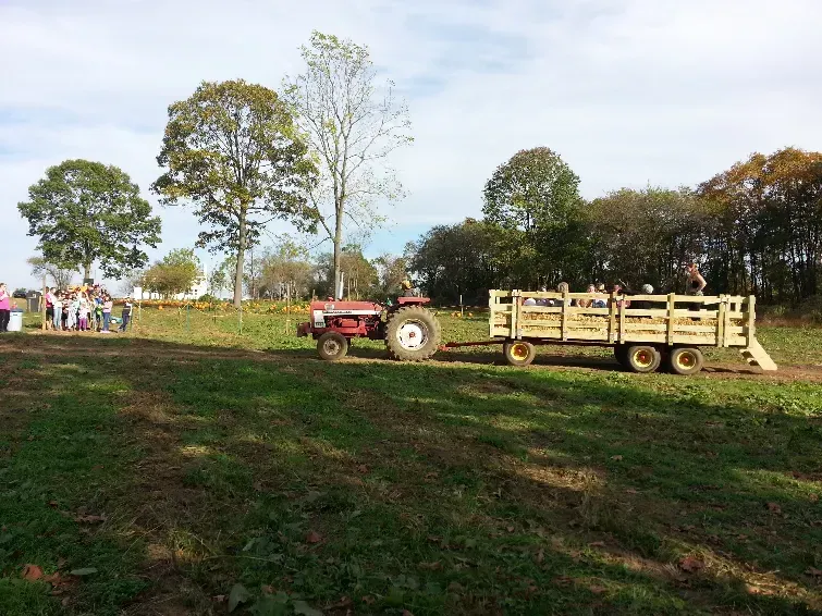 A red tractor pulls a wooden wagon filled with people across a grassy farm field under a bright, partly cloudy sky.