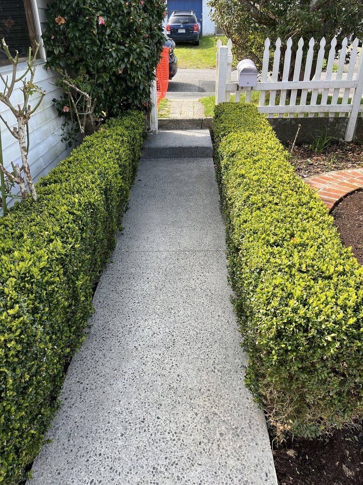 Concrete Walkway — Wellington, NZ — Three Trees Landscaping