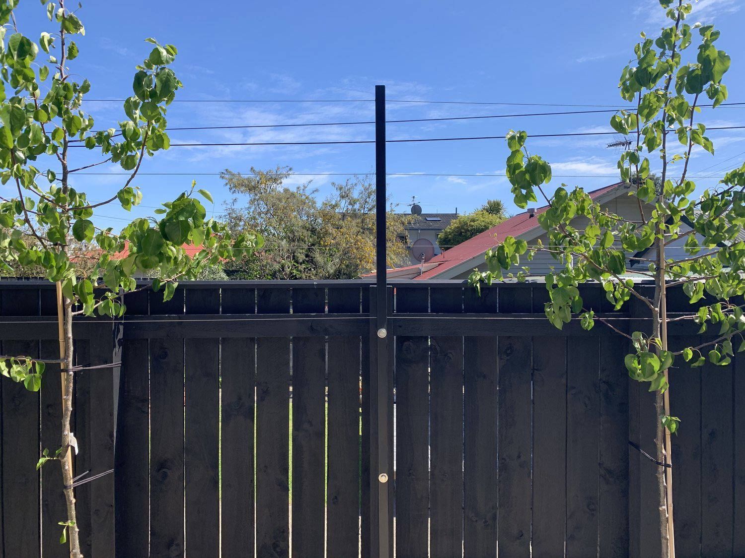 Black Wooden Fence — Wellington, NZ — Three Trees Landscaping