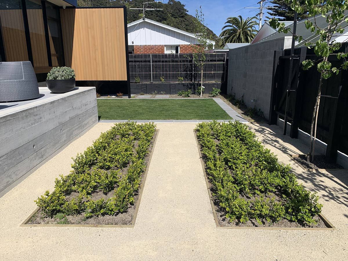 Two Rows of Plants in Garden — Wellington, NZ — Three Trees Landscaping