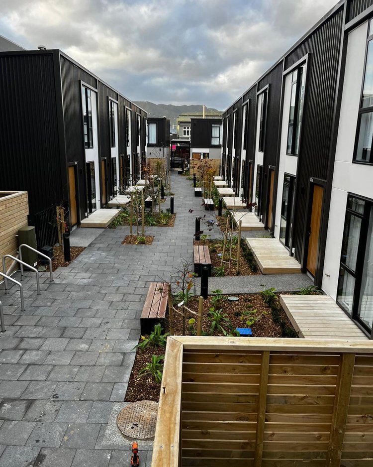 Luxurious Commercial Area — Wellington, NZ — Three Trees Landscaping