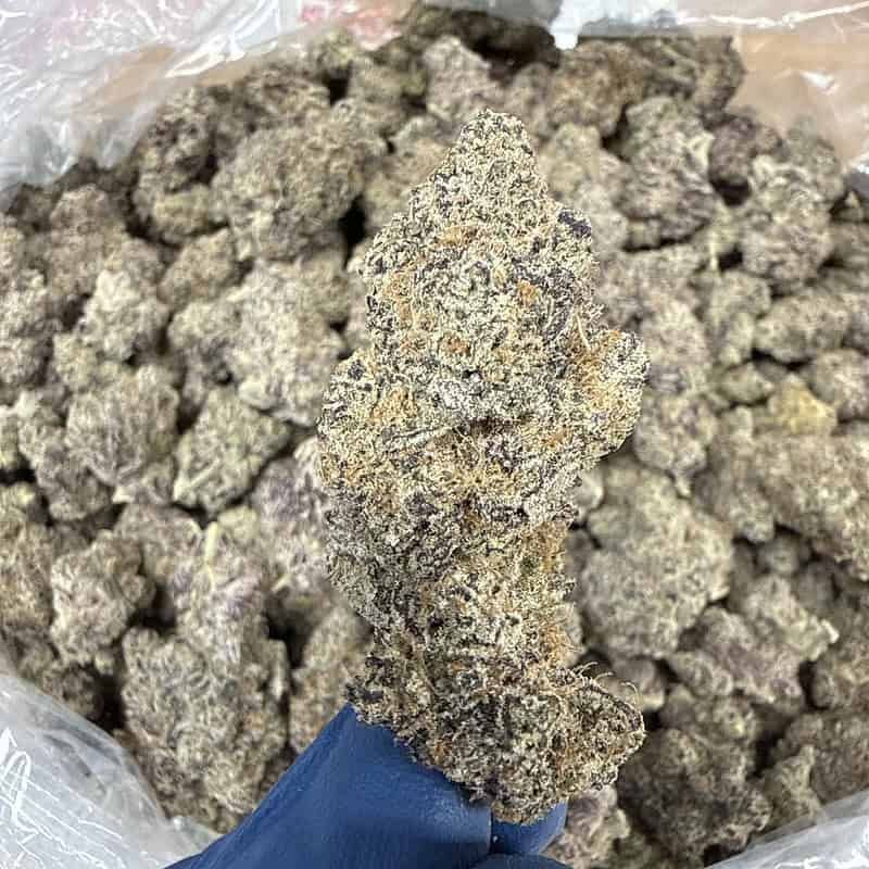 Rainbow Truffles THCA Flower