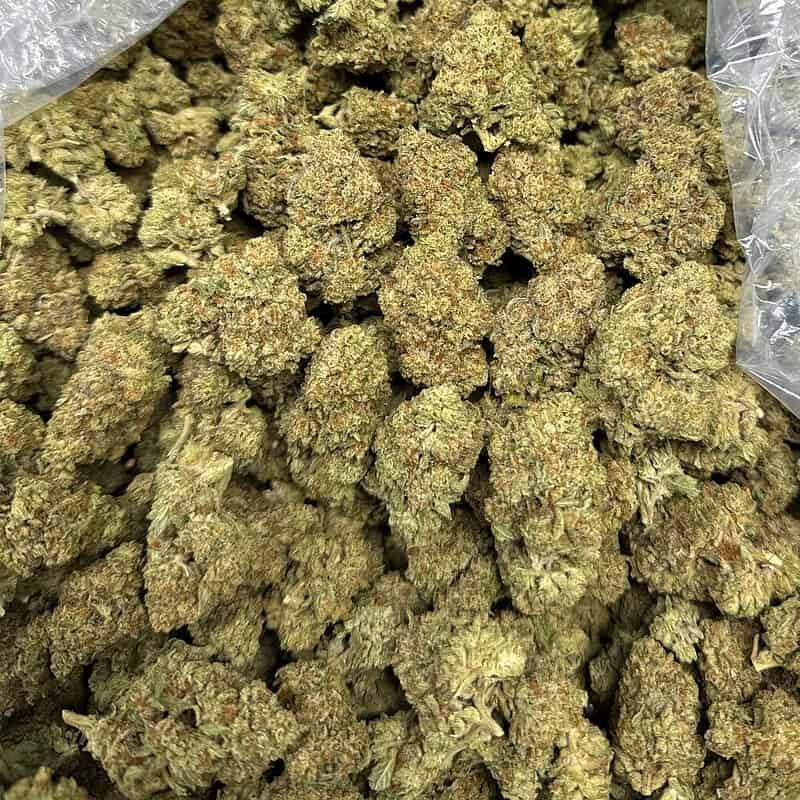 Wedding Cake THCA Flower