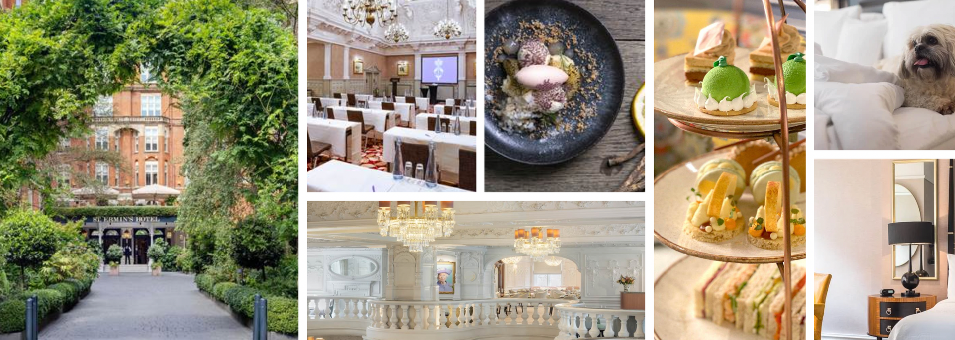 Picture of The deluxe: St Ermin's Hotel, London. Picture of The deluxe: St Ermin's Hotel, London.