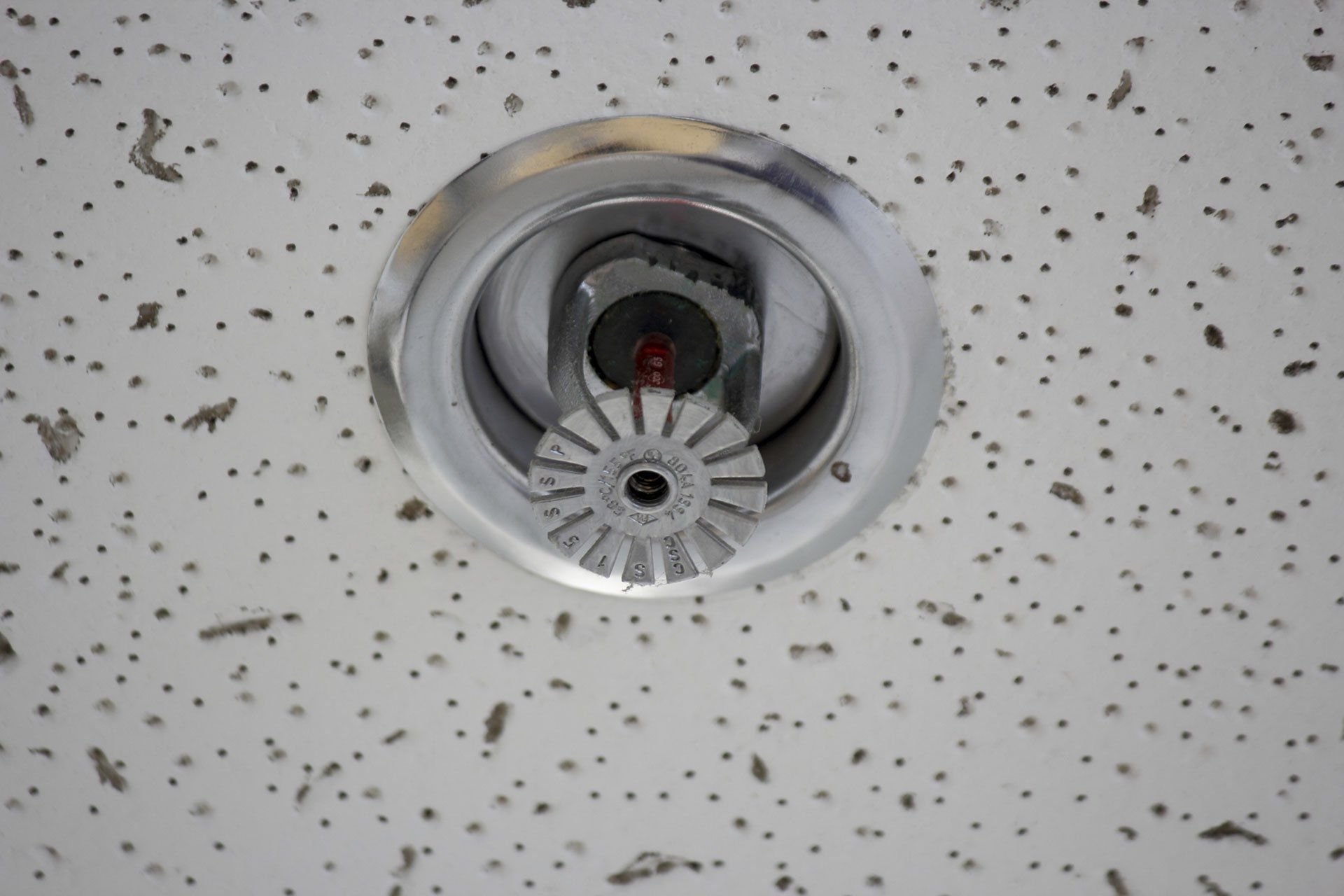 Fire Sprinkler in ceiling | Chillicothe, OH