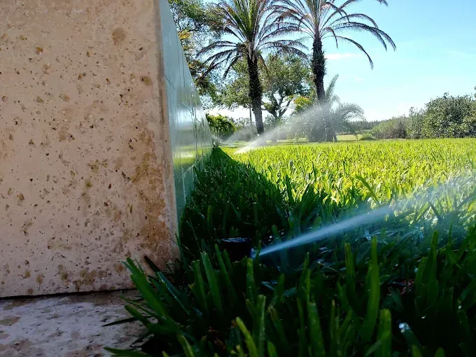 Sprinklers watering lush green lawn near a building with light-colored stone facade and palm trees in the background.