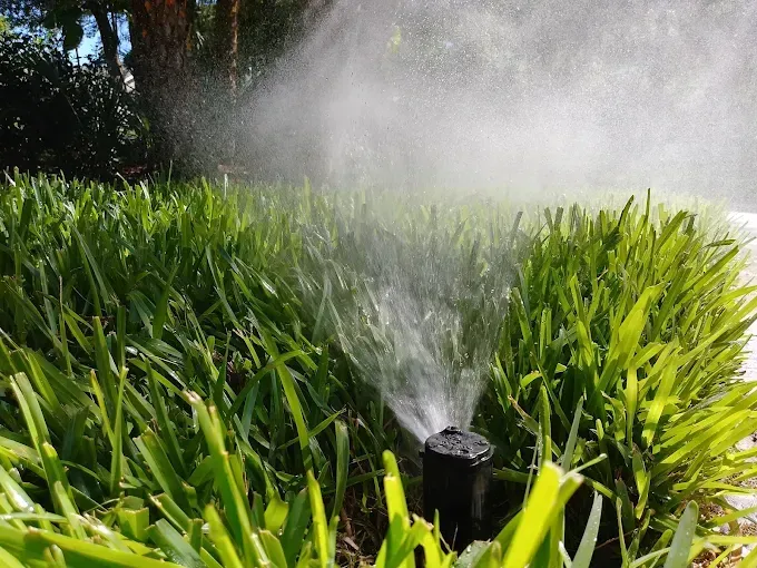 Sprinkler watering green grass in a yard, mist visible.