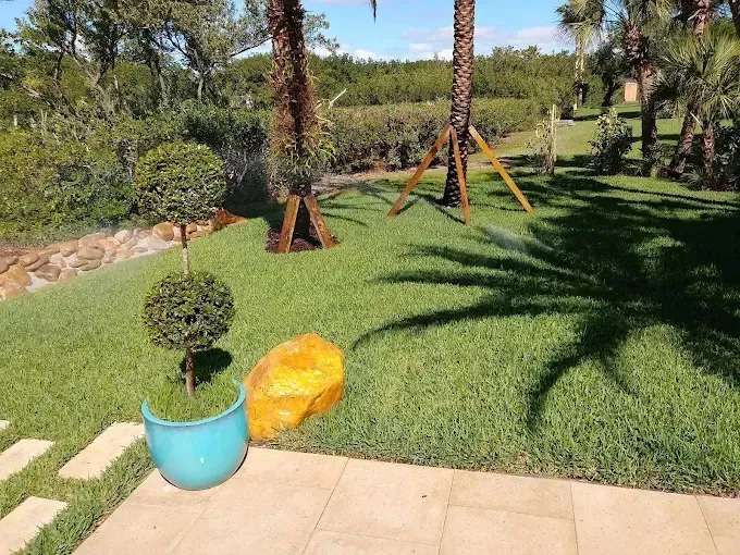 Lush green lawn with a round topiary in a turquoise pot, a large yellow rock, and palm trees.
