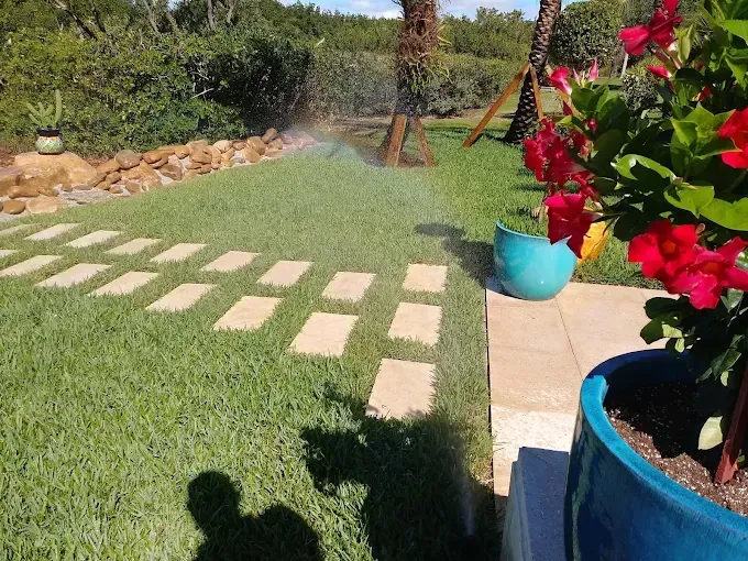 Lawn with stepping stones, sprinkler spraying, red flowers in blue pots, and a stone retaining wall.