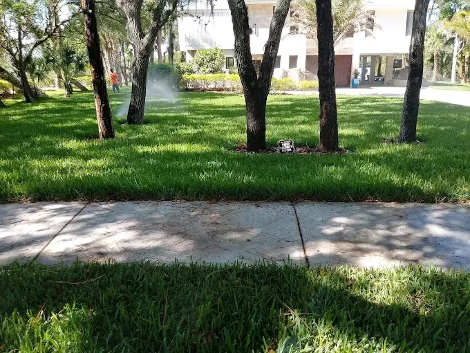 Lawn sprinkler watering green grass near a sidewalk and trees in front of a white building.