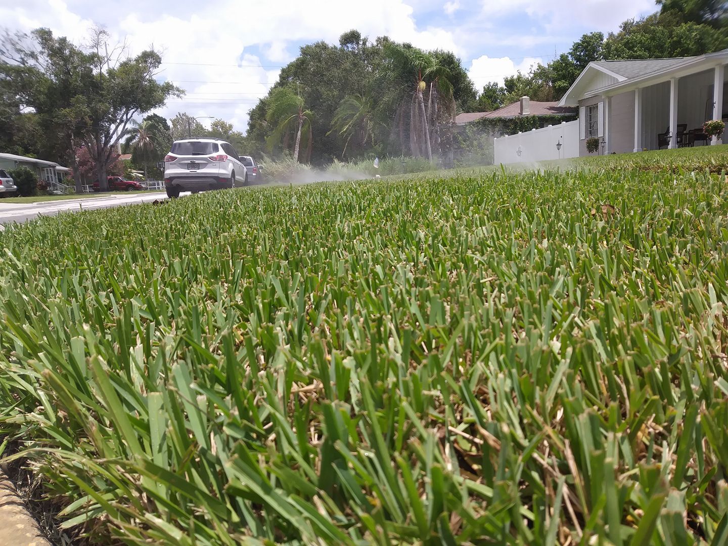 Lush green lawn being watered by sprinklers, with a car parked on the street in front of a house.