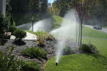 Sprinklers watering lawn and landscaping; green grass, bushes, and a distant road.