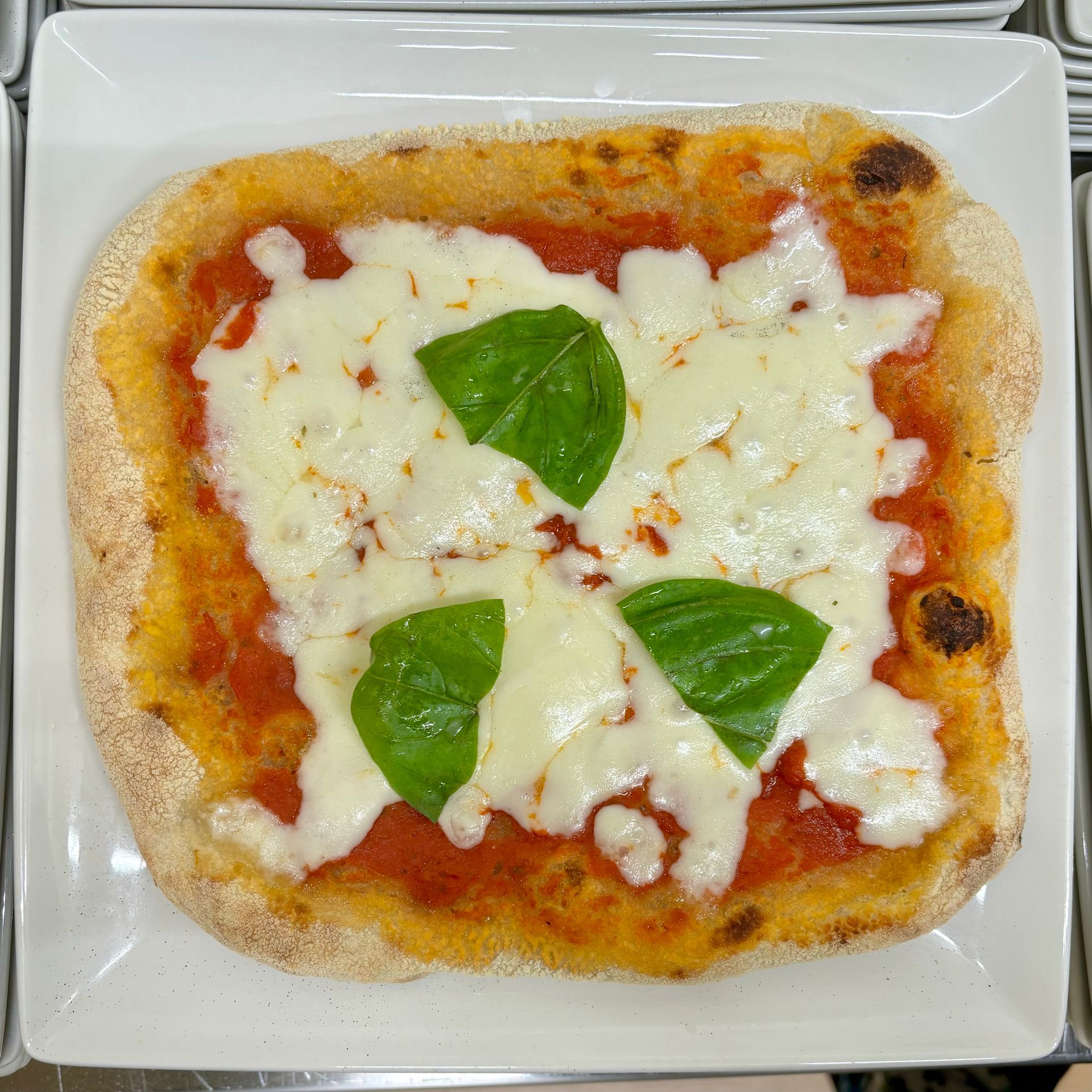 Una pizza con salsa di pomodoro, formaggio e basilico su un piatto bianco.