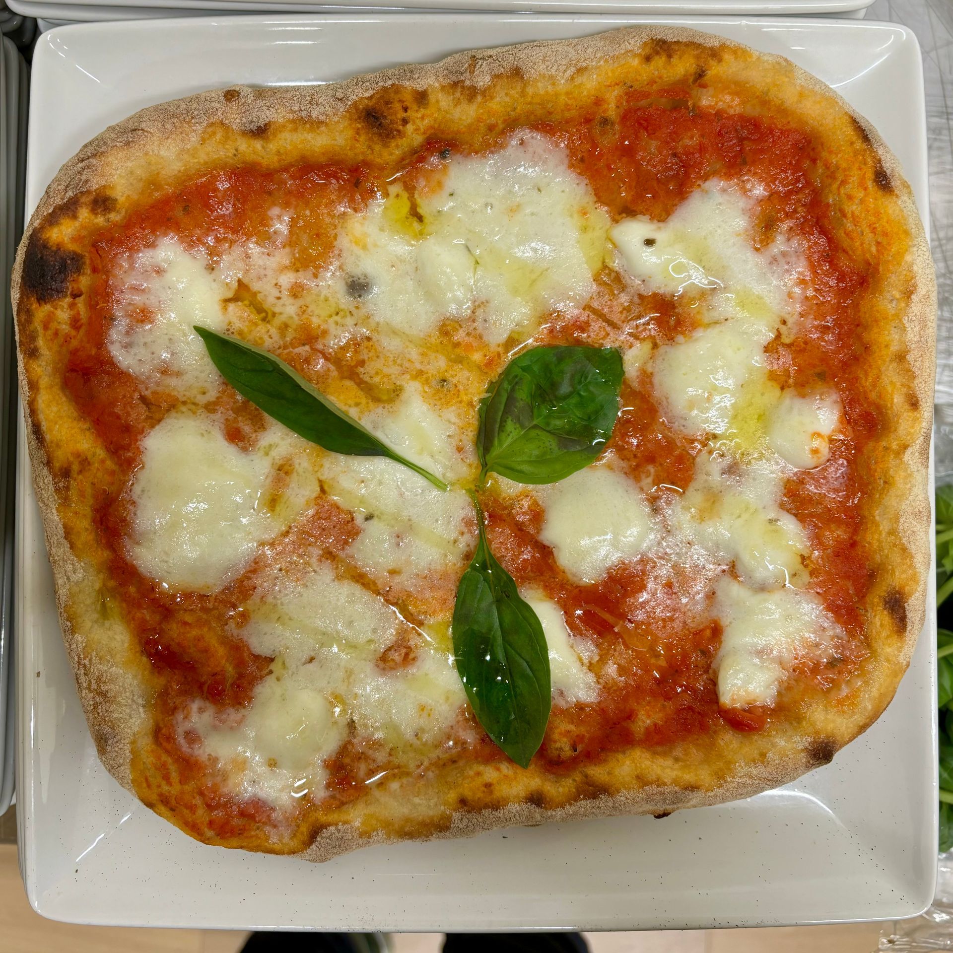 Una pizza con salsa di pomodoro e formaggio su un piatto bianco.
