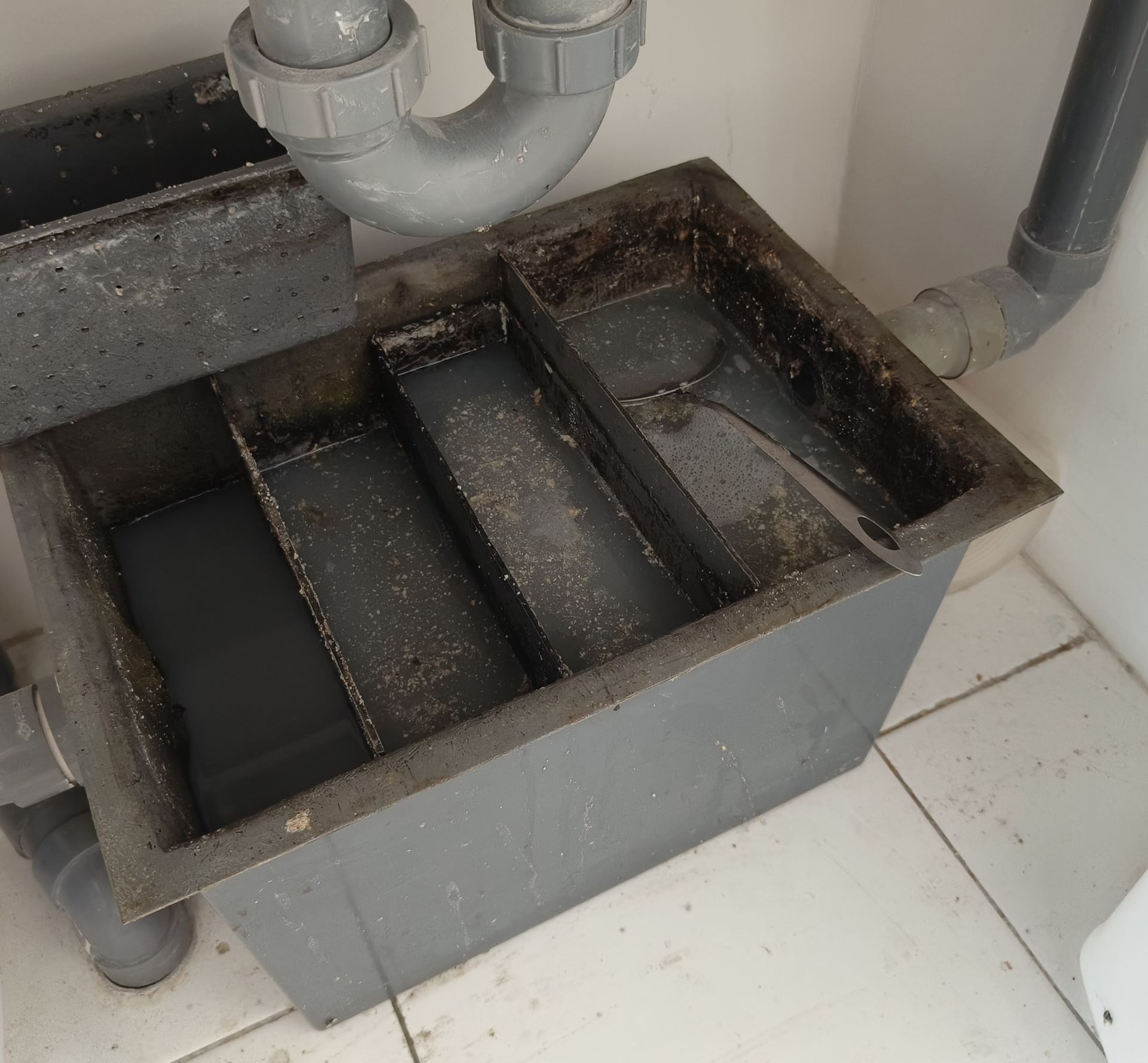 A dirty gray grease trap with water and debris, located under a sink with gray pipes.