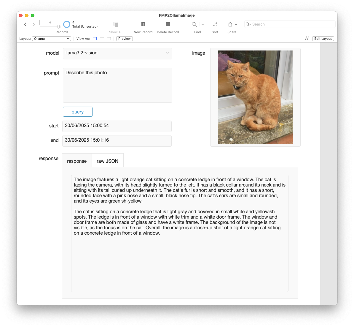 Example FileMaker Interface using Ollama and llama3.2-vision