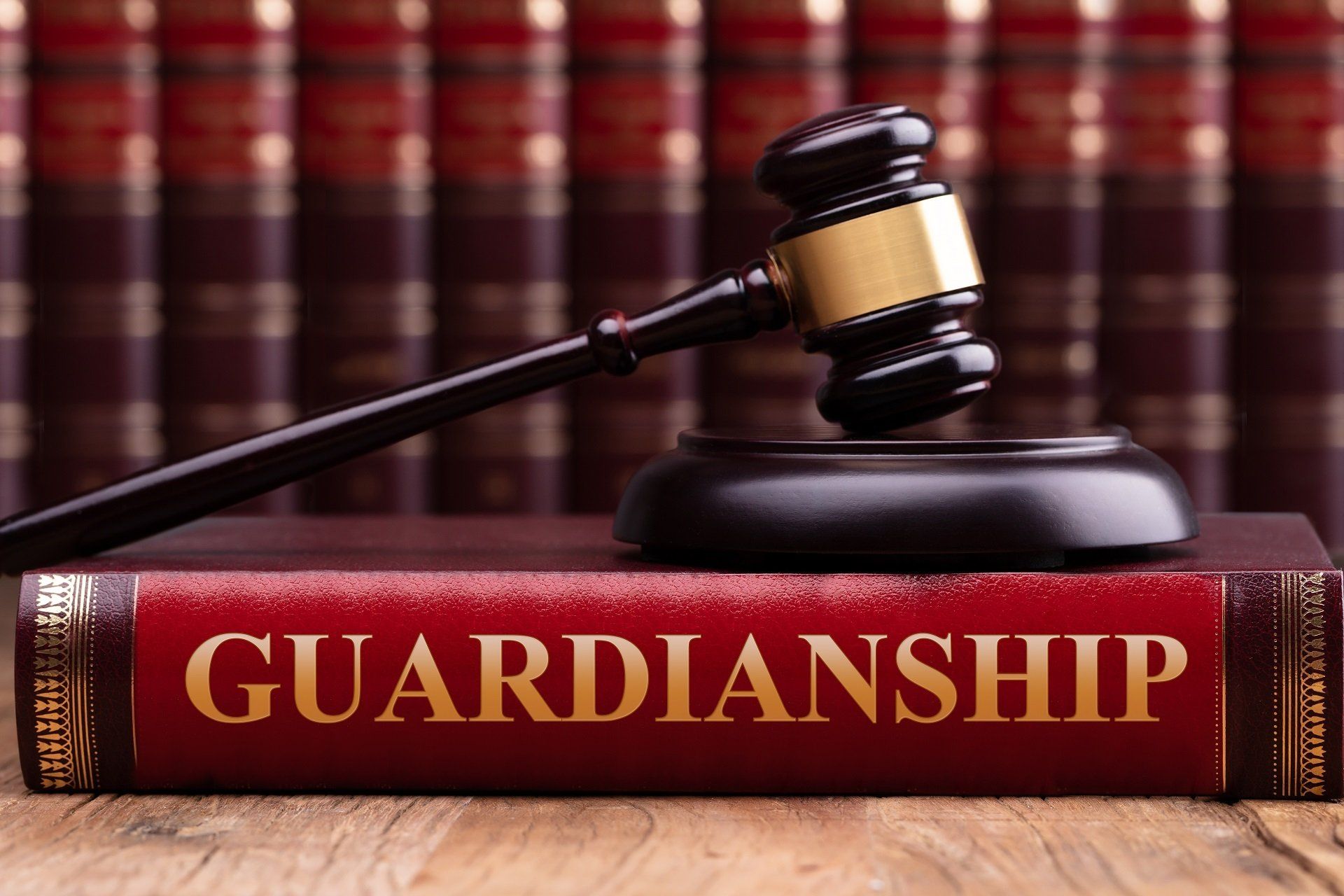 Guardianship Litigation – “It’s Not About The Money”