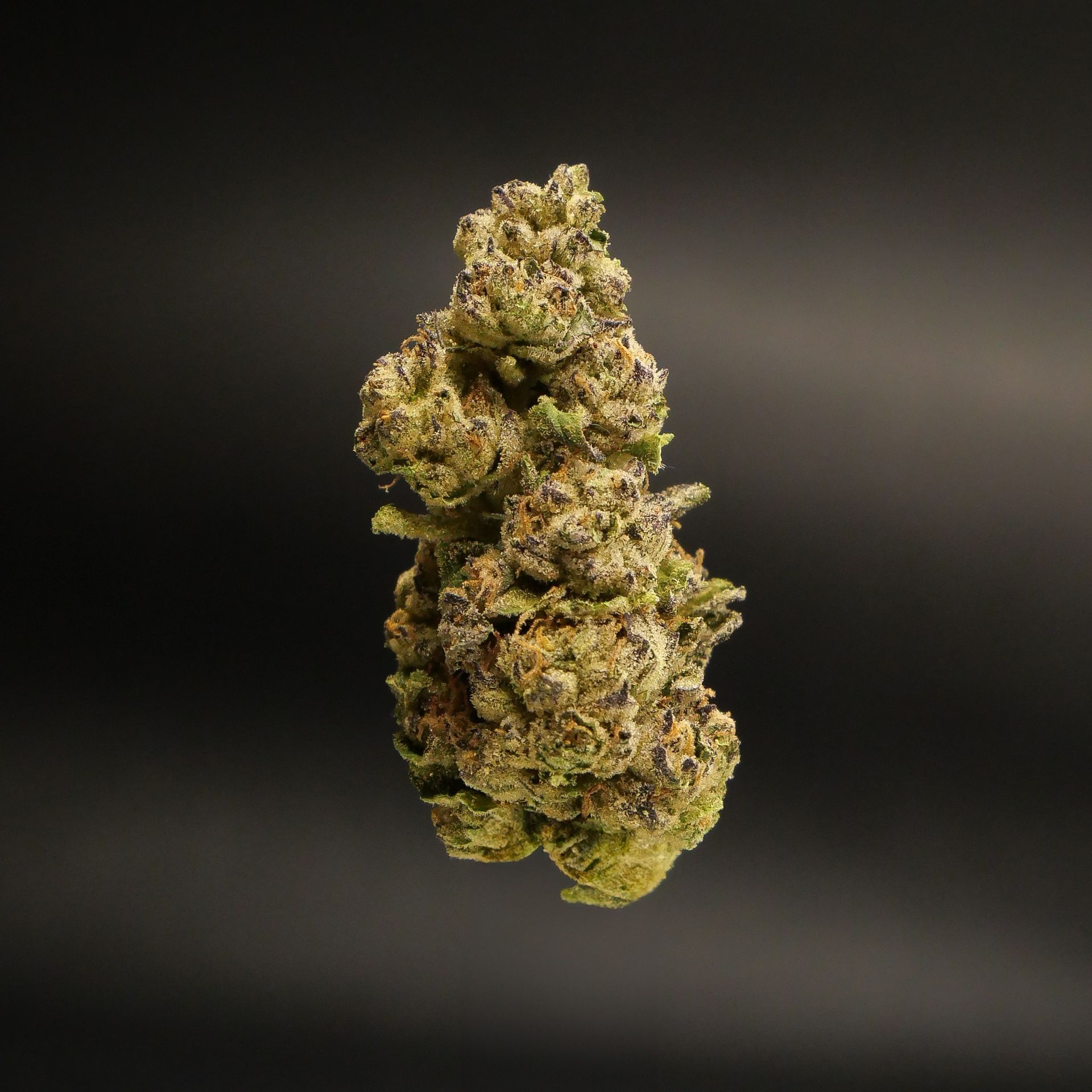 Peach Ringz, Blueberry Zkittlez, Tangie Dream, Kush Cake, Lemon Drop, Cookie Dough, Melon Punch, Purple Berry, Cherry Gelato, Grape Kush, Skittles OG, Pineapple Kush, Gelato 45, Candyland, Frosty Cookie, Limoncello, Mimosa OG, Sunset Mac, Sour Cookies, Strawberry Cheesecake, Grape Gorilla, White Truffle, Gummy Bears, Banana Pie, Minty Berries, Sweet Skunk, Sugar Cookie, Pineapple Cake, Berry Gelato, Banana OG, Purple Sour Diesel, Lemon Cherry Pie, Wedding Cake X, Zkittlez Cake, Slurricane 2.0, Key Lime, Purple Dream, Platinum Sunset, Strawberry Cake, Citrus Candy, Cherry Cough, Berry Bomb, Sugar Rush, Tropical Breeze, Blue Magoo, OG Kush Cake, Kushberry, Lemonade Punch, Chocolate Mint, Pineapple Cream, Grape Lifter, and Mango Sherbet.
