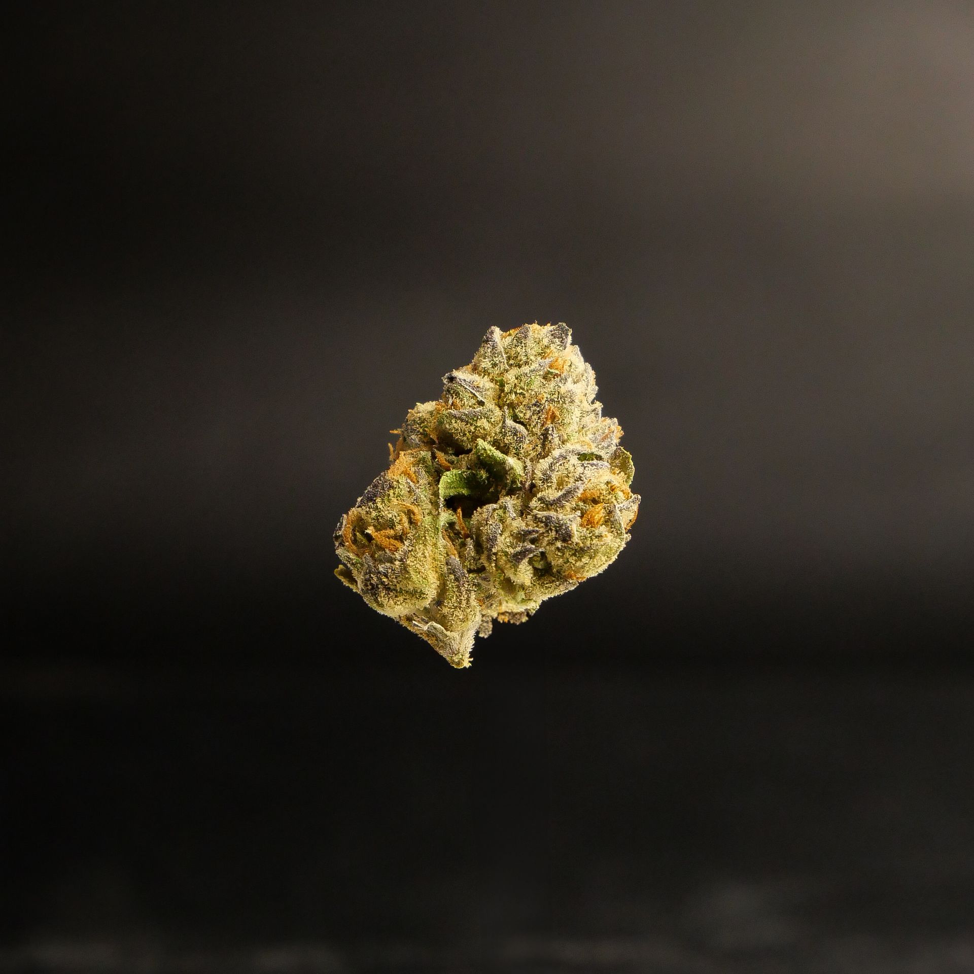 Tropicana Cookies, Banana Runtz, Strawberry Cough X, Watermelon Zkittlez, Mango Gelato, Lemon Cake Kush, Grape Kush OG, Blue Dream Cake, Papaya Punch, Sunset Gelato, Purple Punch Kush, Lemon Sorbet, Cookie Dough Kush, Pink Lemonade X, Frosted Lemonade, Citrus Gelato, Wedding Sherbet, Apple Fritter X, Orange Diesel, Lavender Haze, Sour Lemon, Fruity Pebbles OG, Gelato Dream, Sweet Berry Kush, Pineapple Upside Down, Cantaloupe Kush, Blueberry Muffin OG, Orange Creamsicle, Lemon Diesel, Cherry Limeade, Tangie Sunrise, Gelato Punch, Cherry Mint Cookies, Blackberry Gelato, Razzmatazz, Guava Cake, Grape Ape Gelato, Blue Cookies, Mendo Berry, Strawberry Lemonade, Zkittlez OG Kush, Peach Bubbly, Candy Kush, Sour Diesel X, Lime Sherbet, Sweet Berry, Chocolate Kush, Purple Berry Kush, Green Apple Gelato, and Ice Cream Moonrocks.
