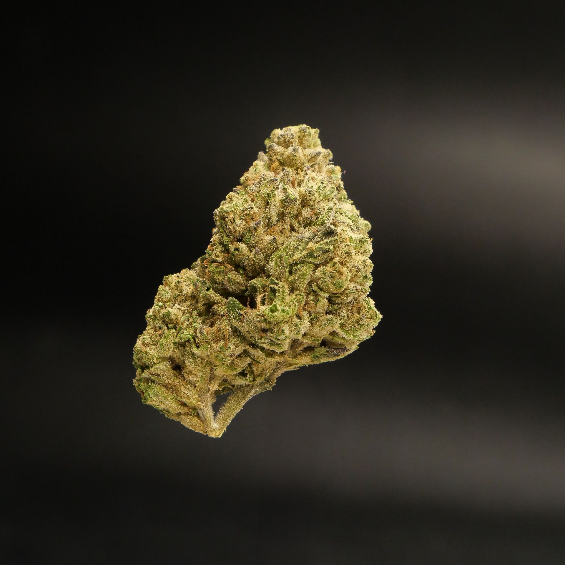 Peach Pie, Lemon Cake, Cherry Bomb, Frosty Gelato, Grape Krush, Super Skunk, Strawberry Diesel, Blueberry Haze, Cherry Mints, Rainbow Punch, Sugar Cookie Kush, Blackberry Moonrocks, Purple Gelato, Pineapple Express 2.0, Minty Gelato, Banana Sorbet, Sherbet Cookies, Zkittlez Breath, Cactus Cooler, Pineapple Express OG, Sour Mango, Blue Dream X, Ice Cream Cake Kush, Platinum Runtz, Bubble Kush, Sweet Kush, Lemon Berry, Cookies N Cream, Mendo Purps, Cherry Lemonade, Tangie Kush, Gelato Runtz, Lemon Zkittlez, Blue Frost, Strawberry Kiwi, Guava Punch, Lava OG, Gelato 41 X, Triple OG, Strawberry Haze, Watermelon Punch, Slurricane Kush, Purple Pineapple, Orange Candy, Sugar Pie, Wedding Cake X, Pineapple Diesel, Frosty Grape, Sweet Peaches, Mango Kush X, and Cherry Berry.
