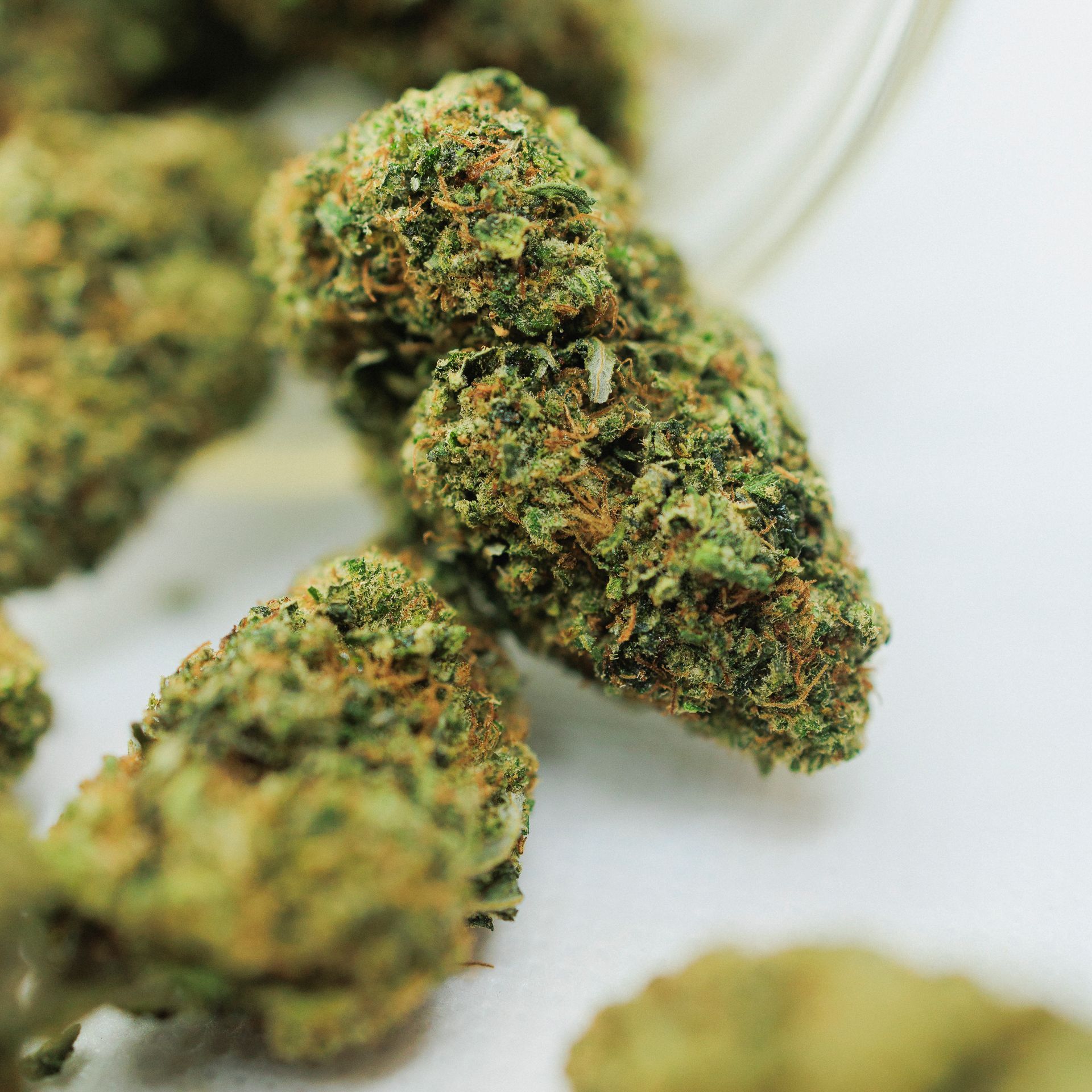 prairie state hemp HHC flower, HHC flower, hemp HHC flower, HHC cannabis flower, premium HHC flower, hemp-derived HHC flower, HHC hemp products, full-spectrum HHC flower, HHC flower for relaxation, Prairie State HHC products, HHC flower for stress, HHC flower for wellness, hemp flower with HHC, hemp HHC buds, natural HHC flower, Prairie State hemp flower, HHC for anxiety relief, THC-free HHC flower, HHC flower for pain relief, hemp flower for calm, HHC hemp buds.