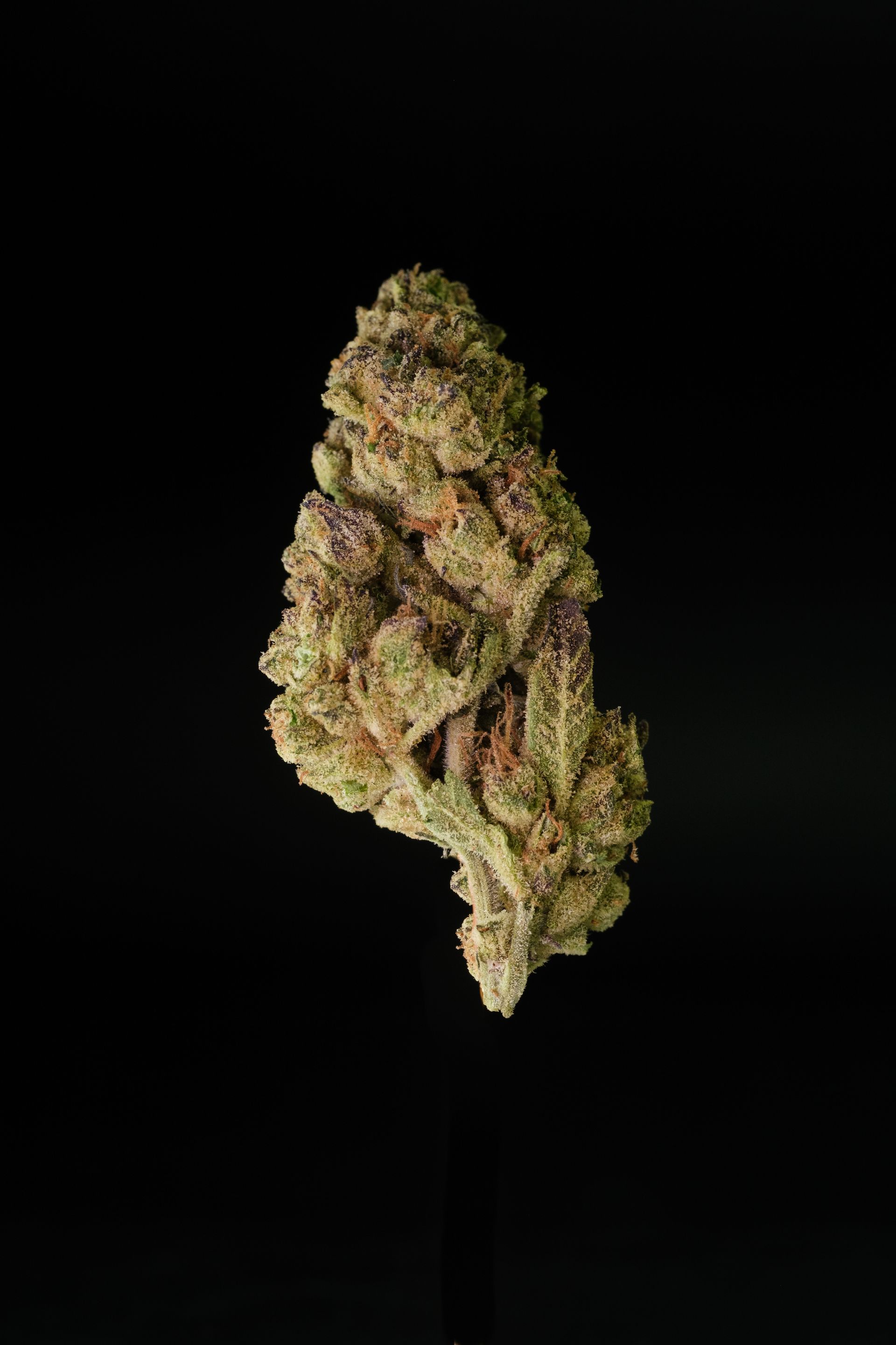 Local Dispensary, CBD Oil, THCa Buds, Delta-9 Gummies - Ships Nationwide, 