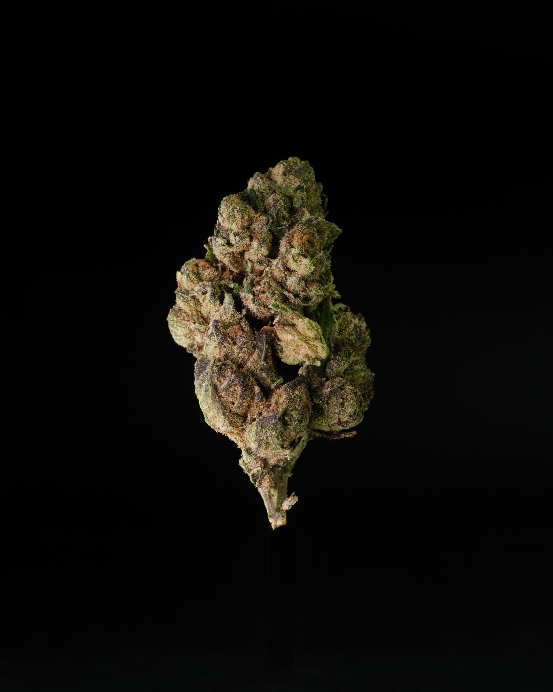 Peach Ringz, Blueberry Zkittlez, Tangie Dream, Kush Cake, Lemon Drop, Cookie Dough, Melon Punch, Purple Berry, Cherry Gelato, Grape Kush, Skittles OG, Pineapple Kush, Gelato 45, Candyland, Frosty Cookie, Limoncello, Mimosa OG, Sunset Mac, Sour Cookies, Strawberry Cheesecake, Grape Gorilla, White Truffle, Gummy Bears, Banana Pie, Minty Berries, Sweet Skunk, Sugar Cookie, Pineapple Cake, Berry Gelato, Banana OG, Purple Sour Diesel, Lemon Cherry Pie, Wedding Cake X, Zkittlez Cake, Slurricane 2.0, Key Lime, Purple Dream, Platinum Sunset, Strawberry Cake, Citrus Candy, Cherry Cough, Berry Bomb, Sugar Rush, Tropical Breeze, Blue Magoo, OG Kush Cake, Kushberry, Lemonade Punch, Chocolate Mint, Pineapple Cream, Grape Lifter, and Mango Sherbet.
