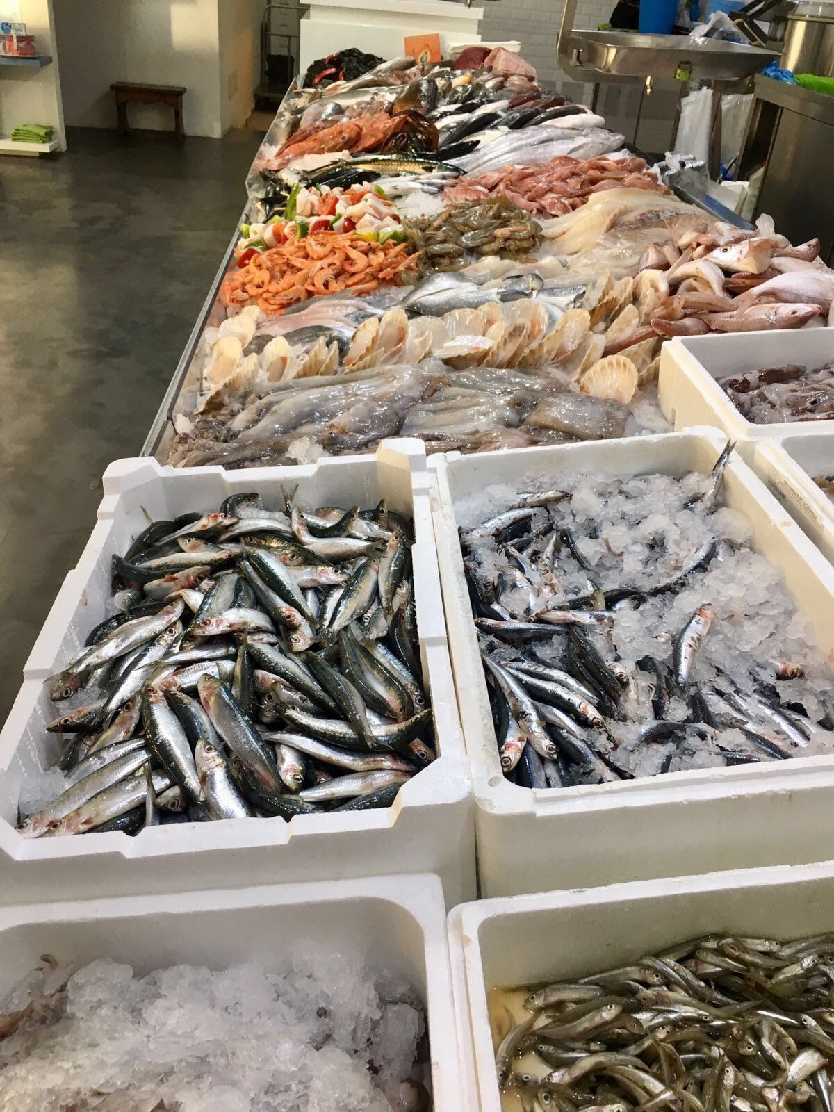 pesce fresco di vario tipo