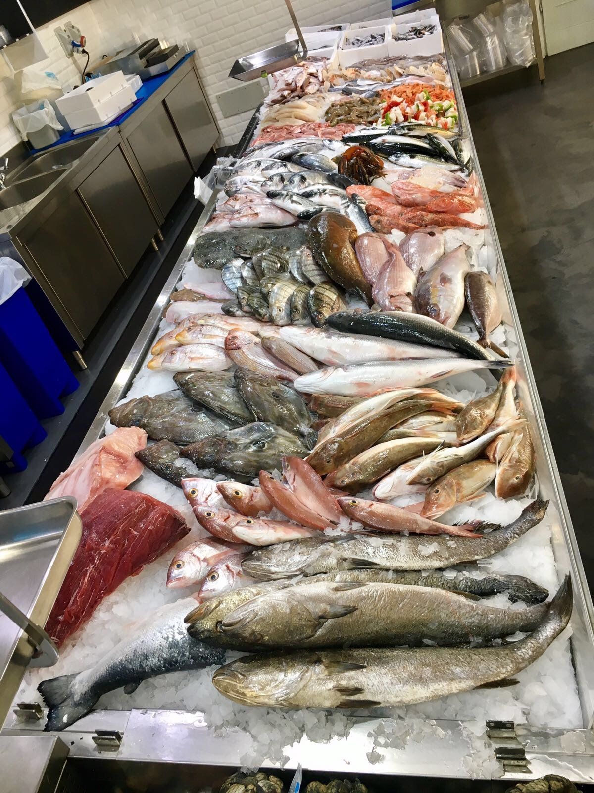 pesce fresco del giorno