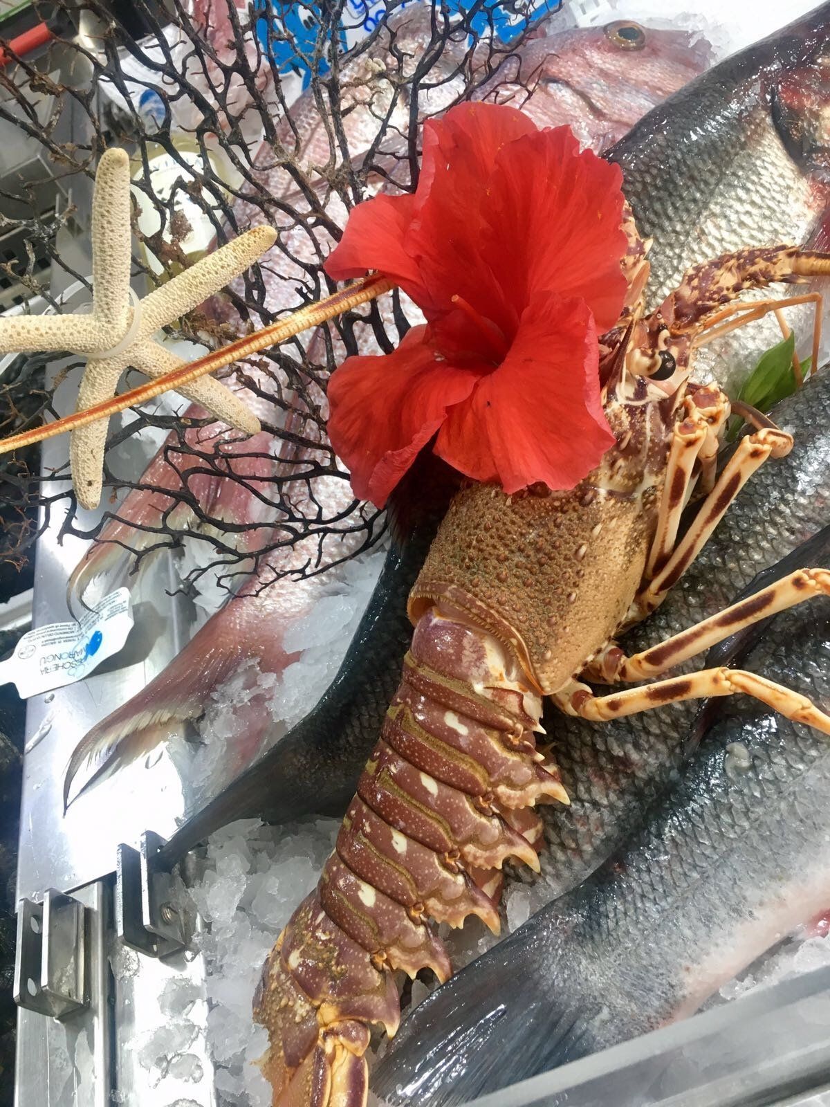 crostacei della pescheria