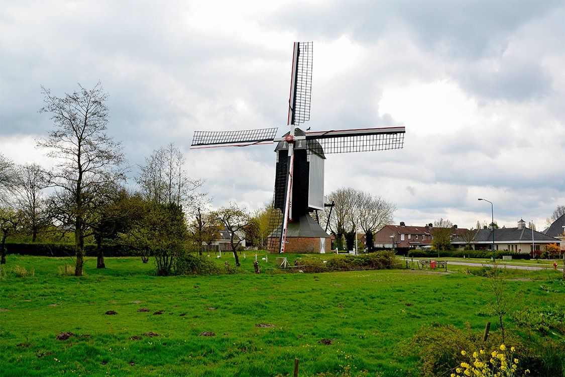 Molen in een weiland