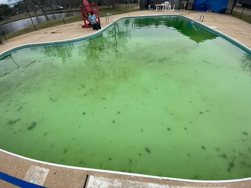 A green swimming pool with a red chair in the background.